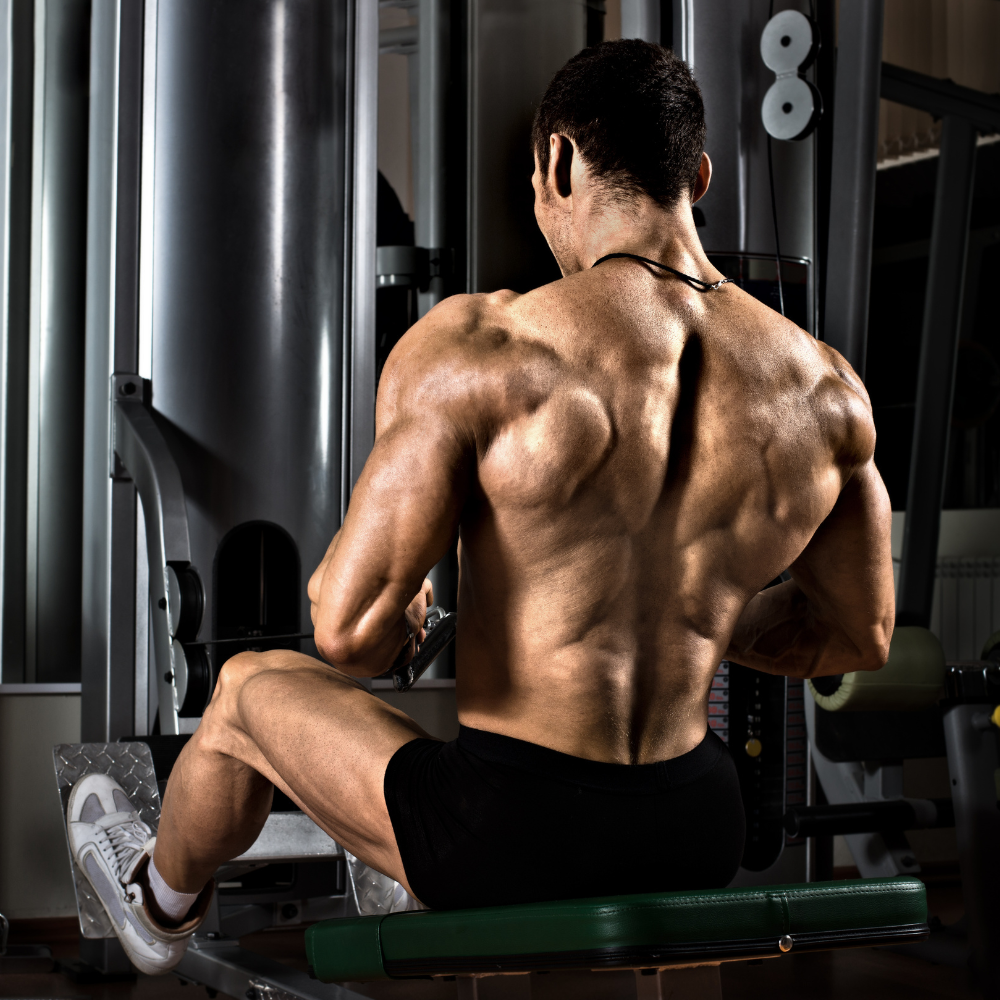 Personal Training : 24 Session