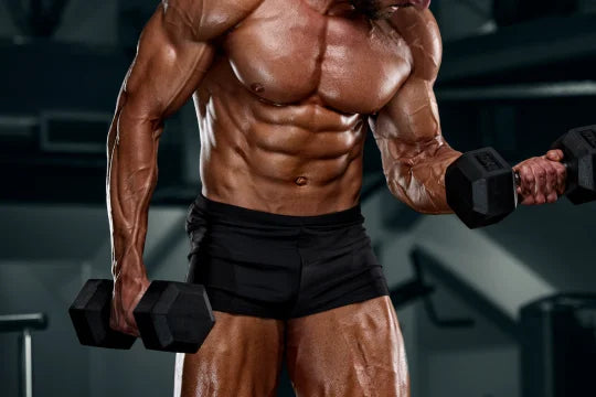 Comprehensive Muscle Building Plan for Optimal Gains | Sam Fitness